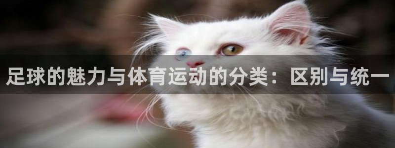 64体育：足球的魅力与体育运动的分类：区别与统一