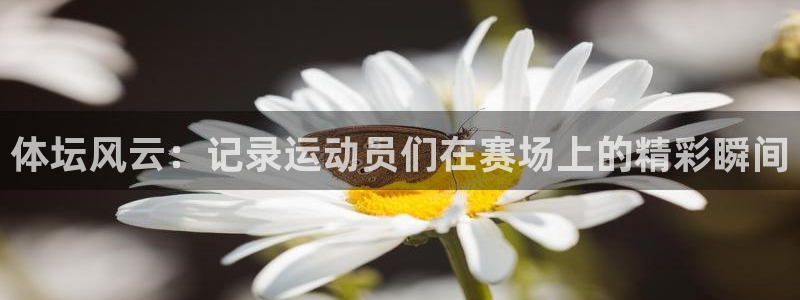 64体育：体坛风云：记录运动员们在赛场上的精彩瞬间